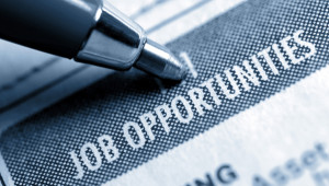 Job_Opportunity_Small